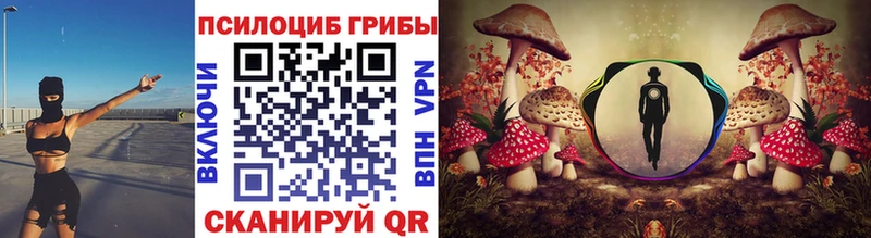 Купить  Заозёрск  Псилоцибиновые грибы MAGIC MUSHROOMS 